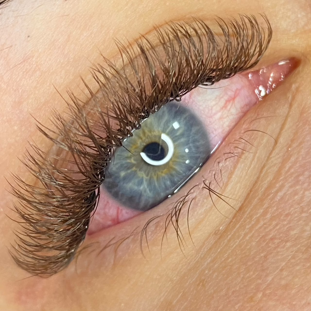 Trabalho Yasmin Chiarati